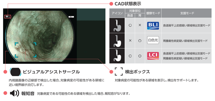 cadeye